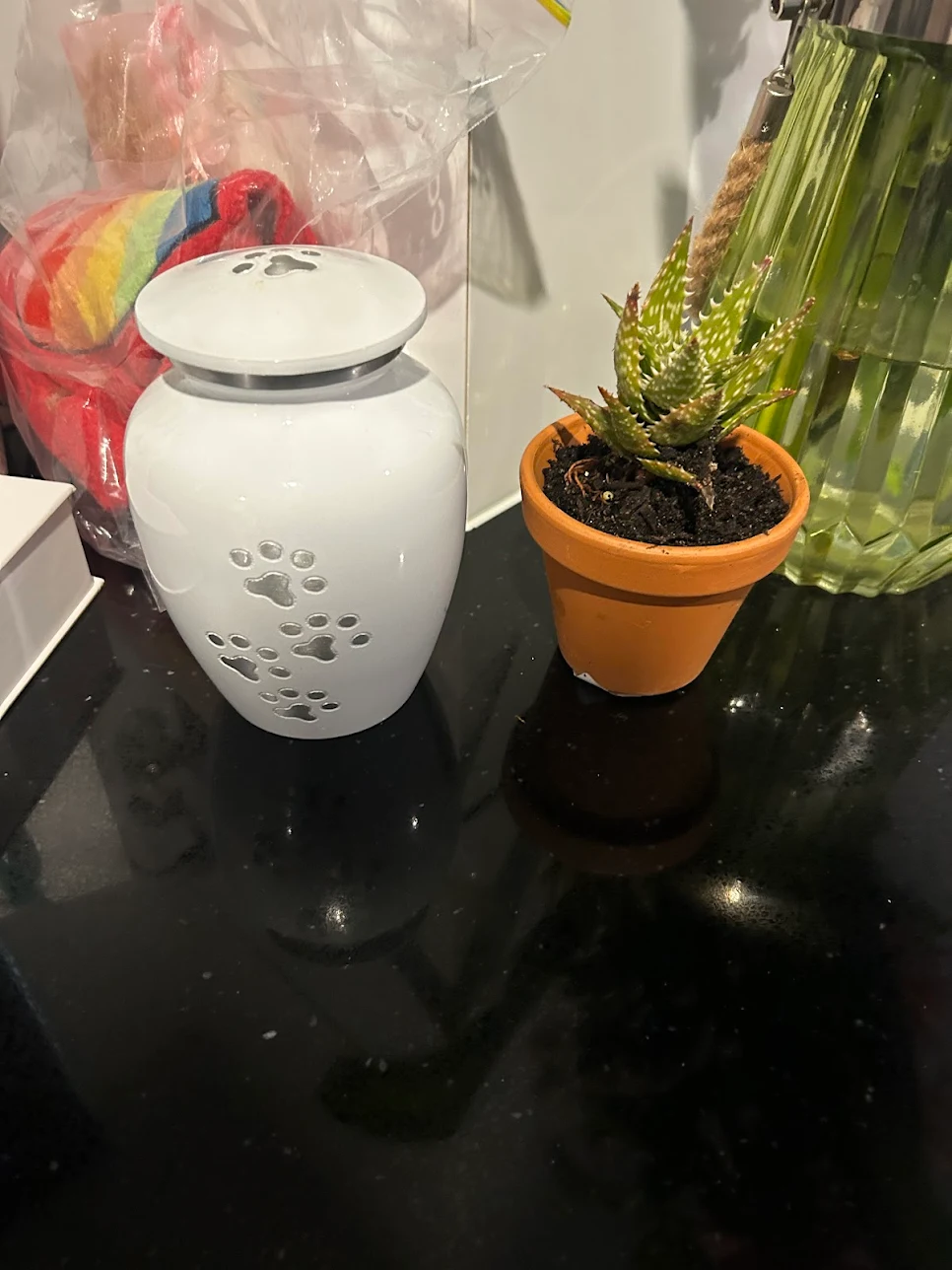 Review image 2 from sandra Cassin